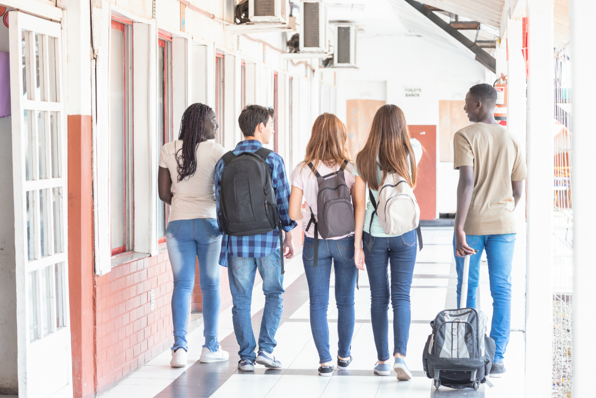 Youth Mental Health Support in Schools