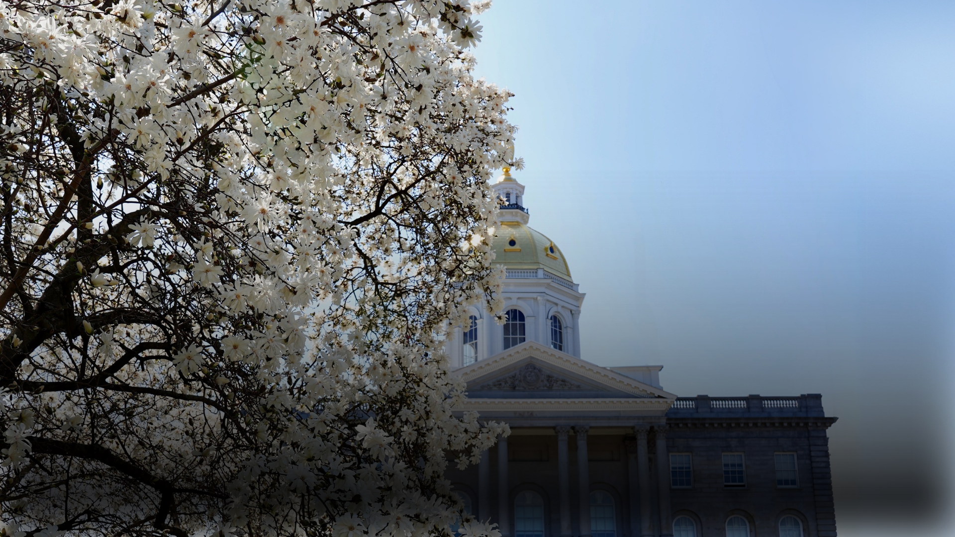 Week of May 12