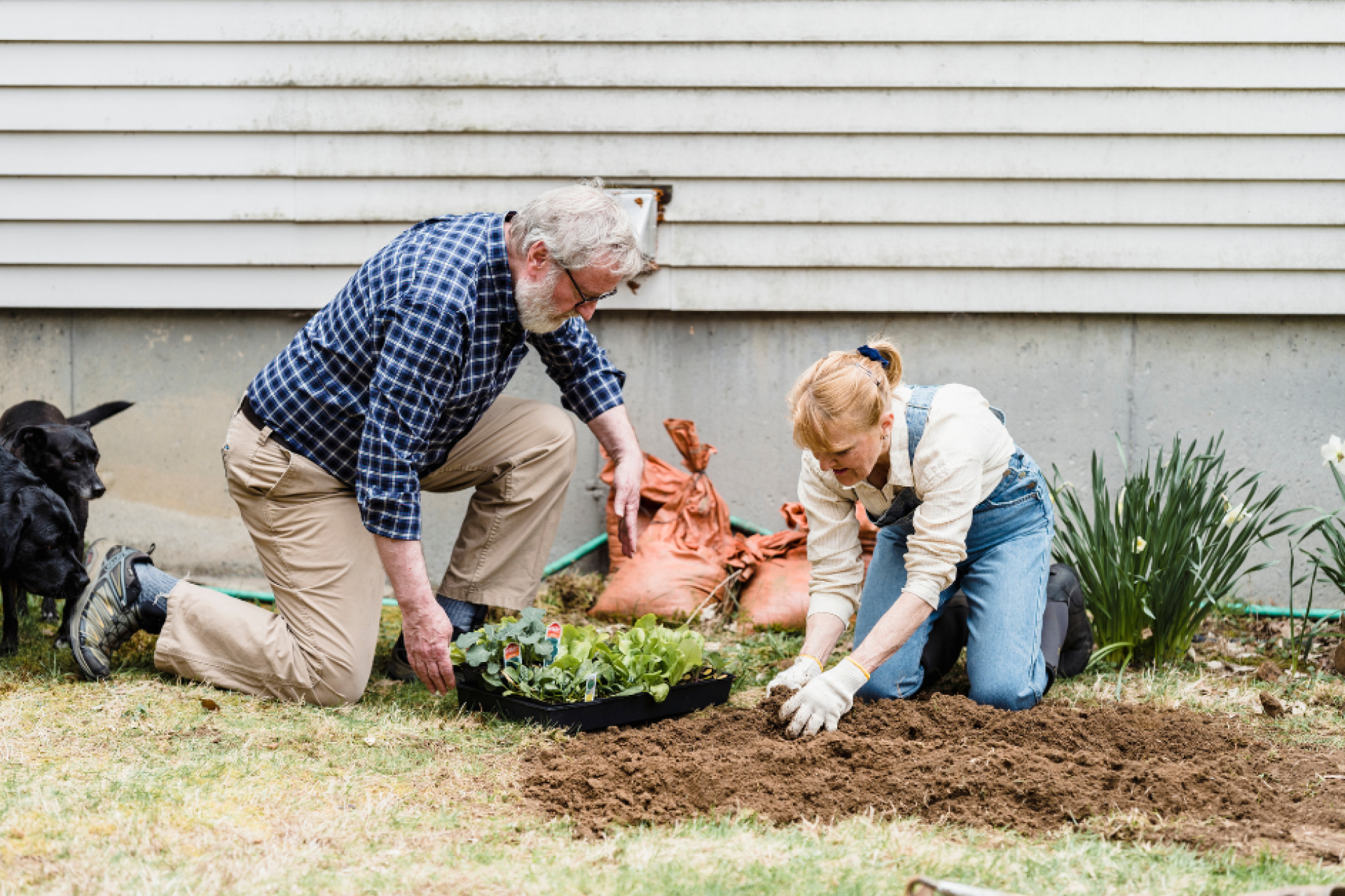 Housing Security for Older Adults