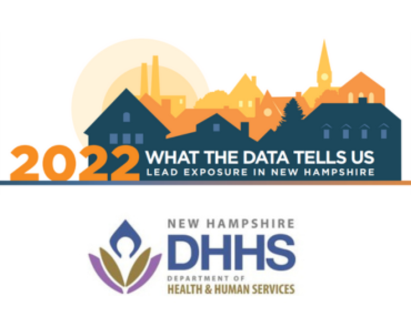 Thumbnail for 2022 Lead Exposure Data Brief
