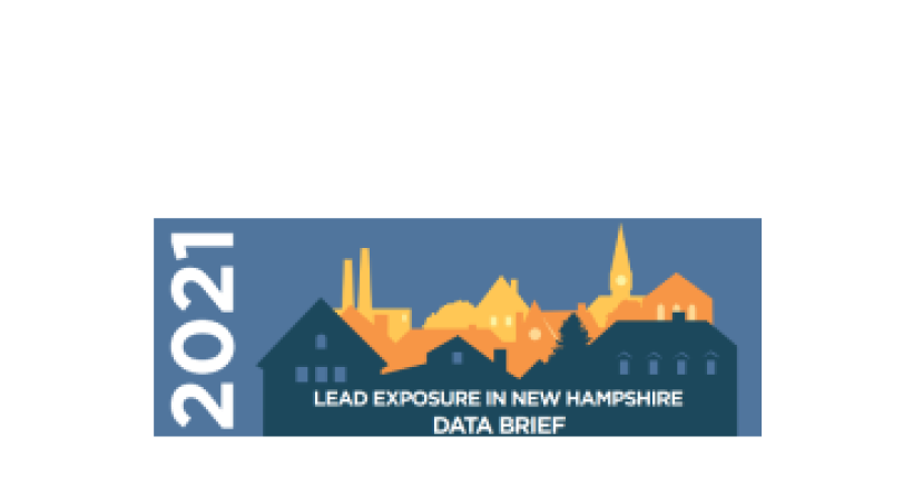 Thumbnail for 2021 Lead Exposure in New Hampshire