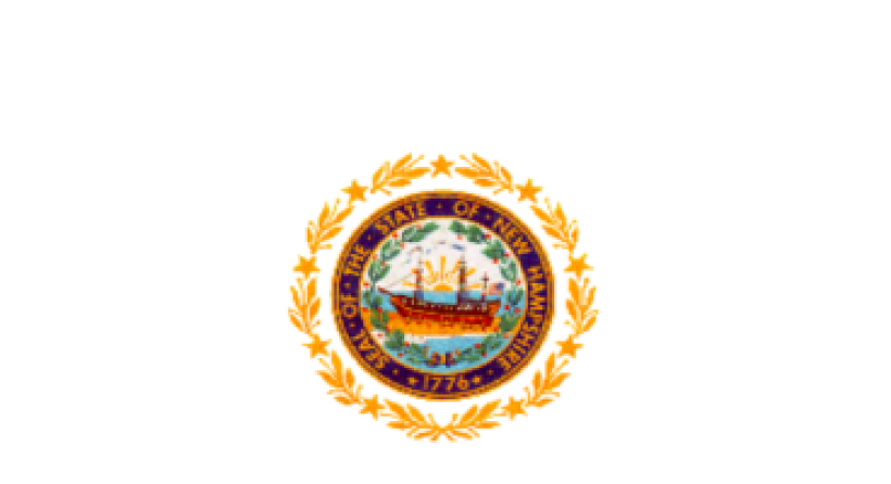 Thumbnail for 2021 Annual Report on Maternal Mortality to New Hampshire Health and Human Services Legislative Oversight Committee
