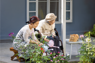 System of Care for Healthy Aging