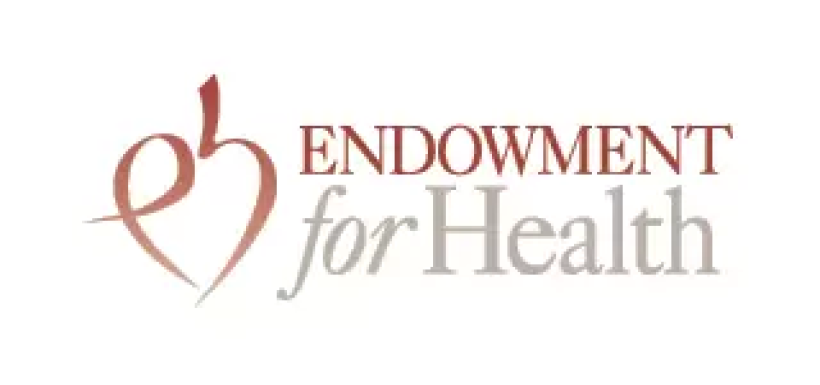 Thumbnail for Endowment for Health Report on IECMH and family services 2020